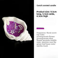 Coastal  Sanctuary Seashell Candle